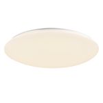 Потолочный светильник Freya FR6999-CL-45-W