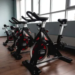 Спин-байк SHUA SHB-8860S