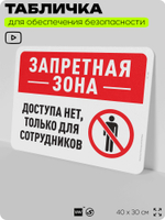 Табличка для обеспечения безопасности "Запретная зона, доступа нет", для офиса, по охране труда для предприятия, организаций, 40х30 см, Silver Plane x Айдентика Технолоджи