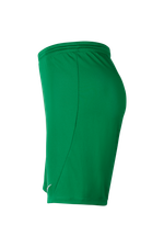 Шорты Nike Dry Park III