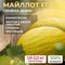 МАЙЛЛОТ_F1_семена_дыни_Syngenta_семена_оптом