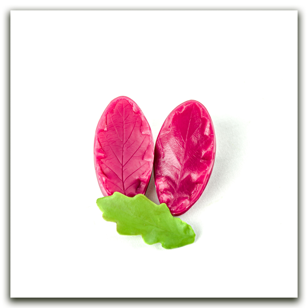 Листья дуба. Набор оптимальный