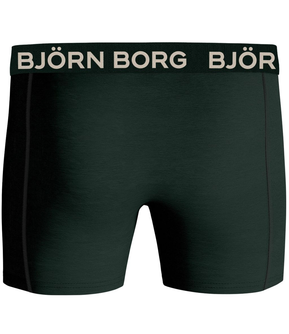Мужские спортивные боксеры Björn Borg Core Boxer 2P - green/print