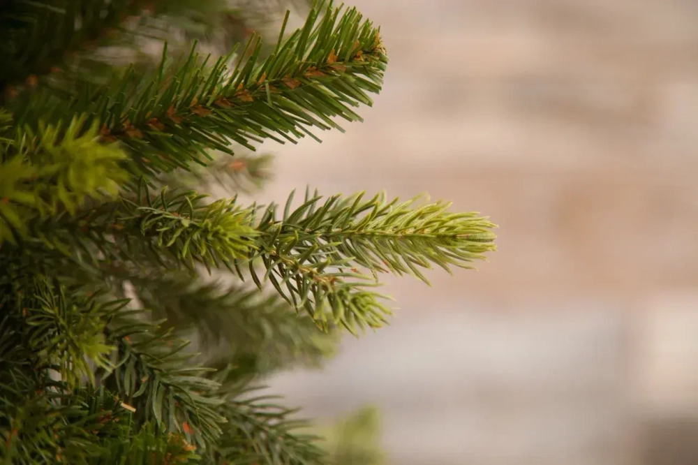 Елка Уэльская 155 см., литая хвоя+пвх, Triumph Tree (73554)