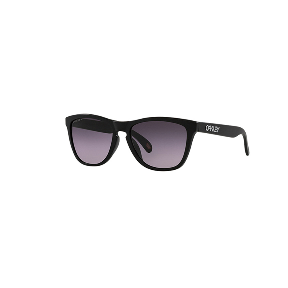 Oakley Frogskins Tinted Очки D0