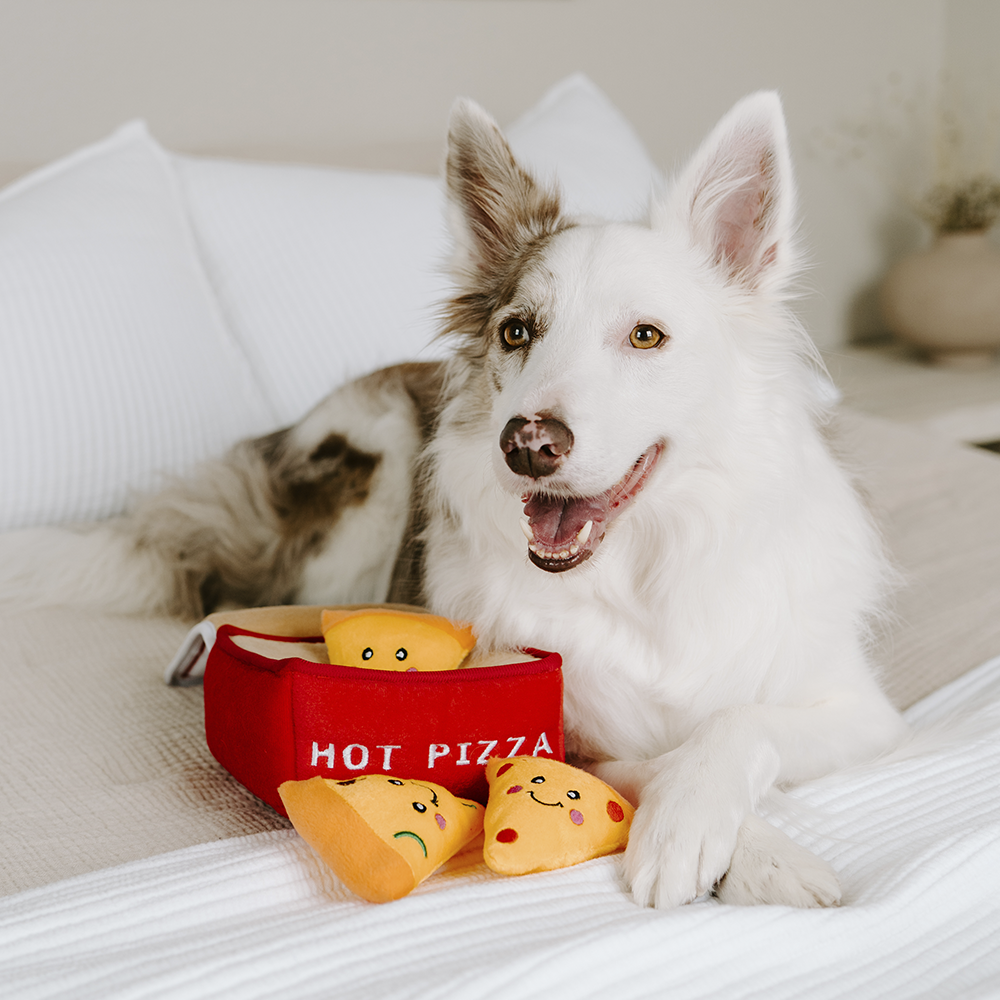 Развивающая игрушка Zippy Burrow Коробка с пиццей ZippyPaws