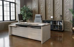 Кабинет руководителя U.RUS