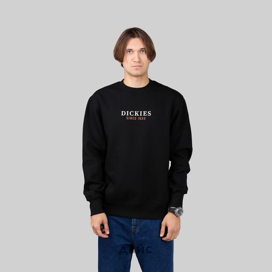Толстовка мужская Dickies Park Sweatshirt артикул:DK0A4YEIBLK1 - купить в магазине Дайс