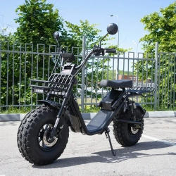 EcoMoto Lion Off-Road E1200W Back Edition