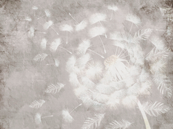 Коллекция PERO