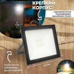Прожектор LED SFL90-50 IP65 50W 6400K черный SAFFIT