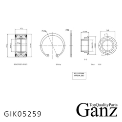 Подшипник ступицы передний OPEL VecA/AstF/KadE 1.6-2.0/NEX 16V GANZ GIK05259