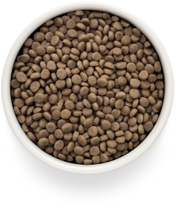 Grandorf GASTROINTESTINAL MODERATE CALORIE, Gluten & Grain Free, Veterinary Diet (Turkey)