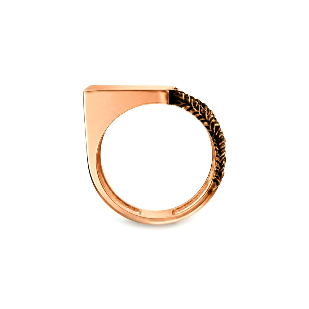 01182-10-090401-00 Кольцо