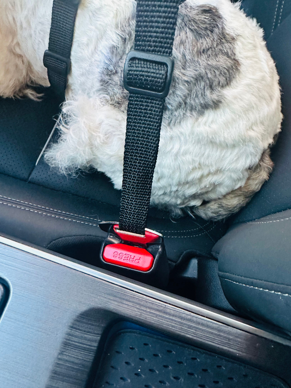 Автомобильная шлейка с ремнем безопасности, Монморанси,черный, M