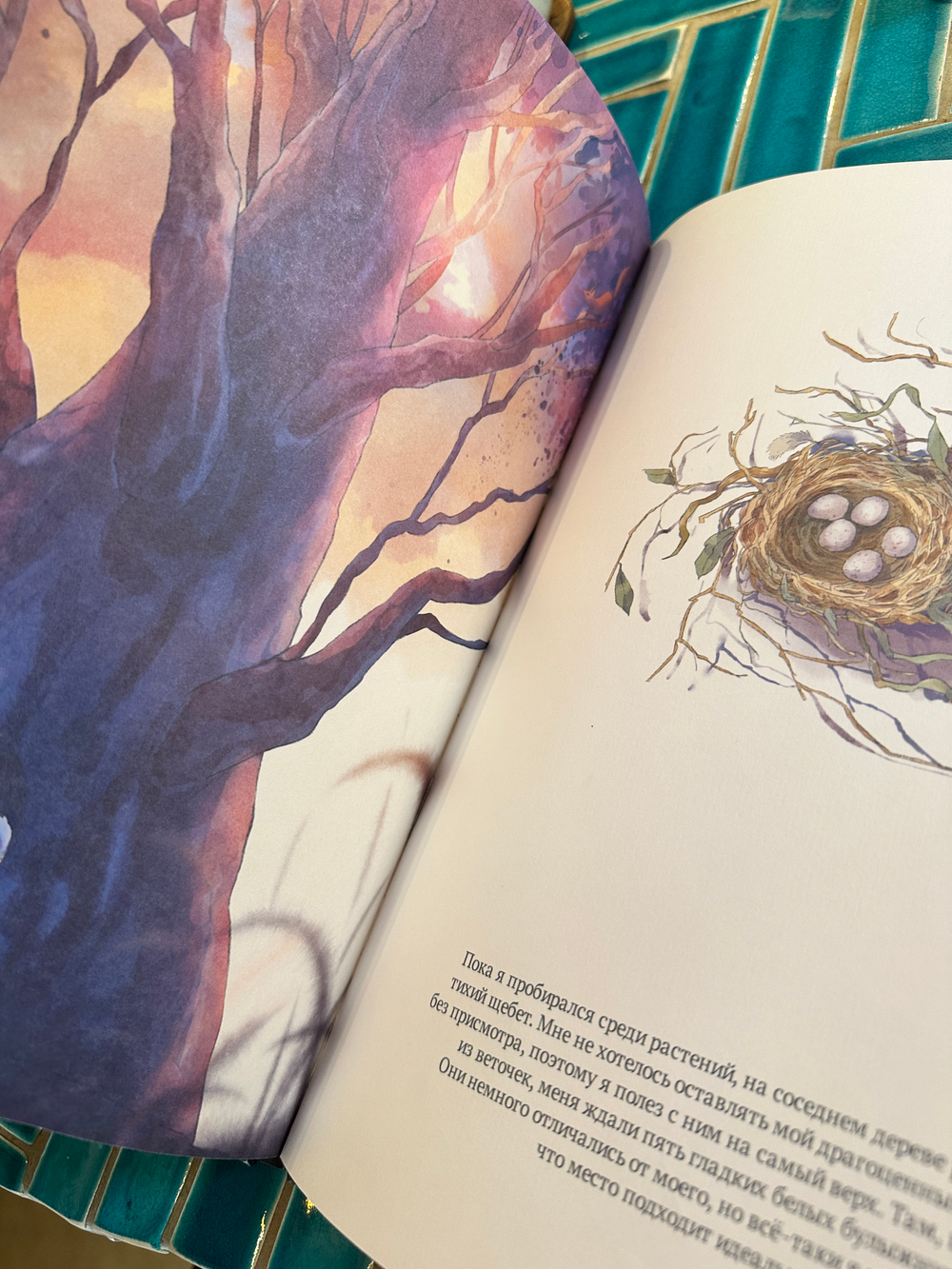 Малыш и мир