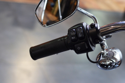 Harley-Davidson Softail Standard