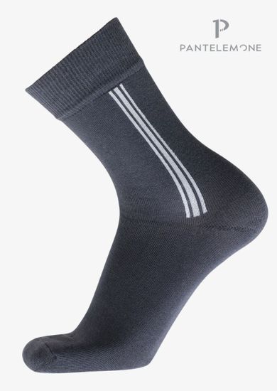 Носки мужские Pantelemone PN-101 ,темно-серые