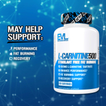EVLution Nutrition, L-Carnitine500®, L-карнитин, 500 мг, 120 капсул