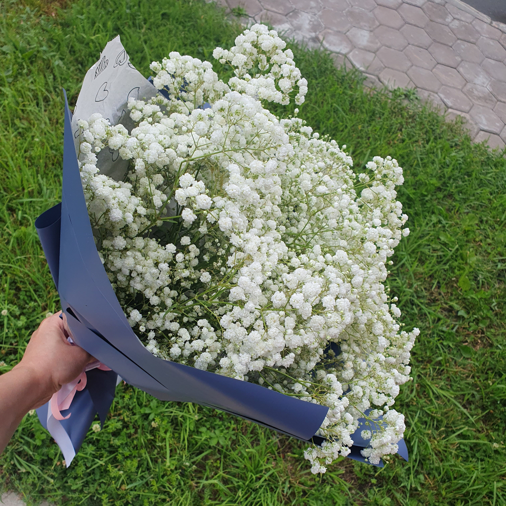 Монобукет из Гипсофилы "Облачко"