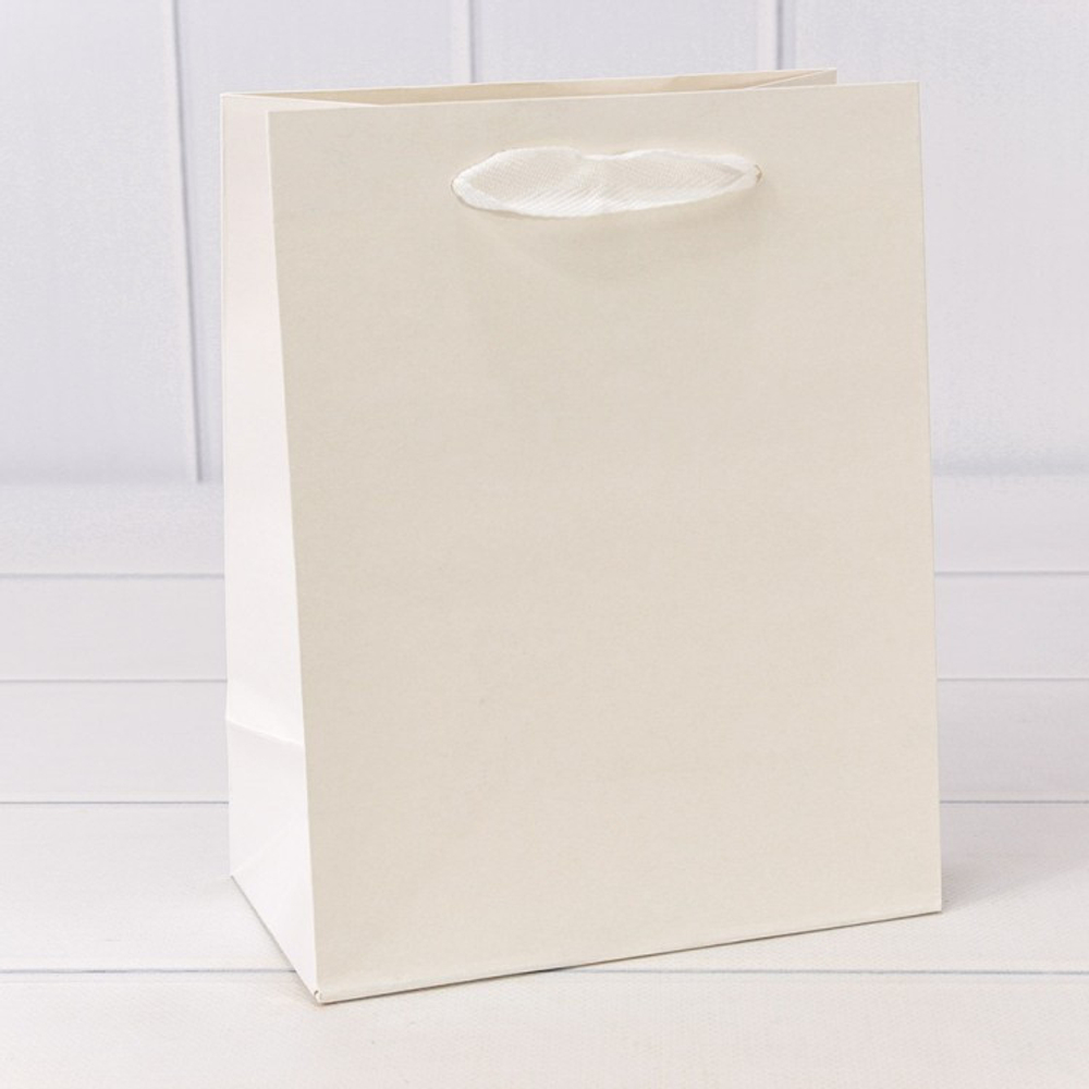 Пакет подарочный 18х23х10см (Белый, Крафт)