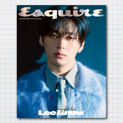 Постер #0415 / STRAY KIDS / Минхо (Lee Know)