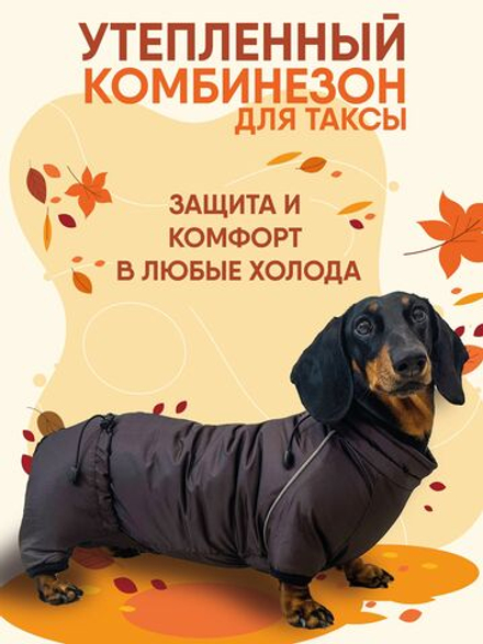 Утепленный комбинезон для Таксы карликовой Монморанси, коричневый, размер ТК1.