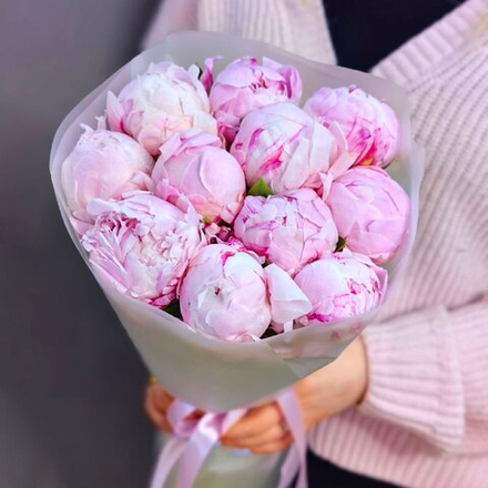 Букет из 11 розовых пионов сорта "Сара Бернар"