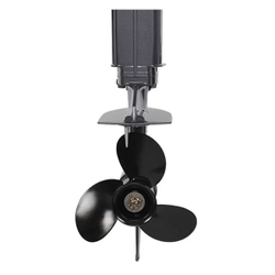 2х-тактный лодочный мотор ALLFA CG T30 FWS