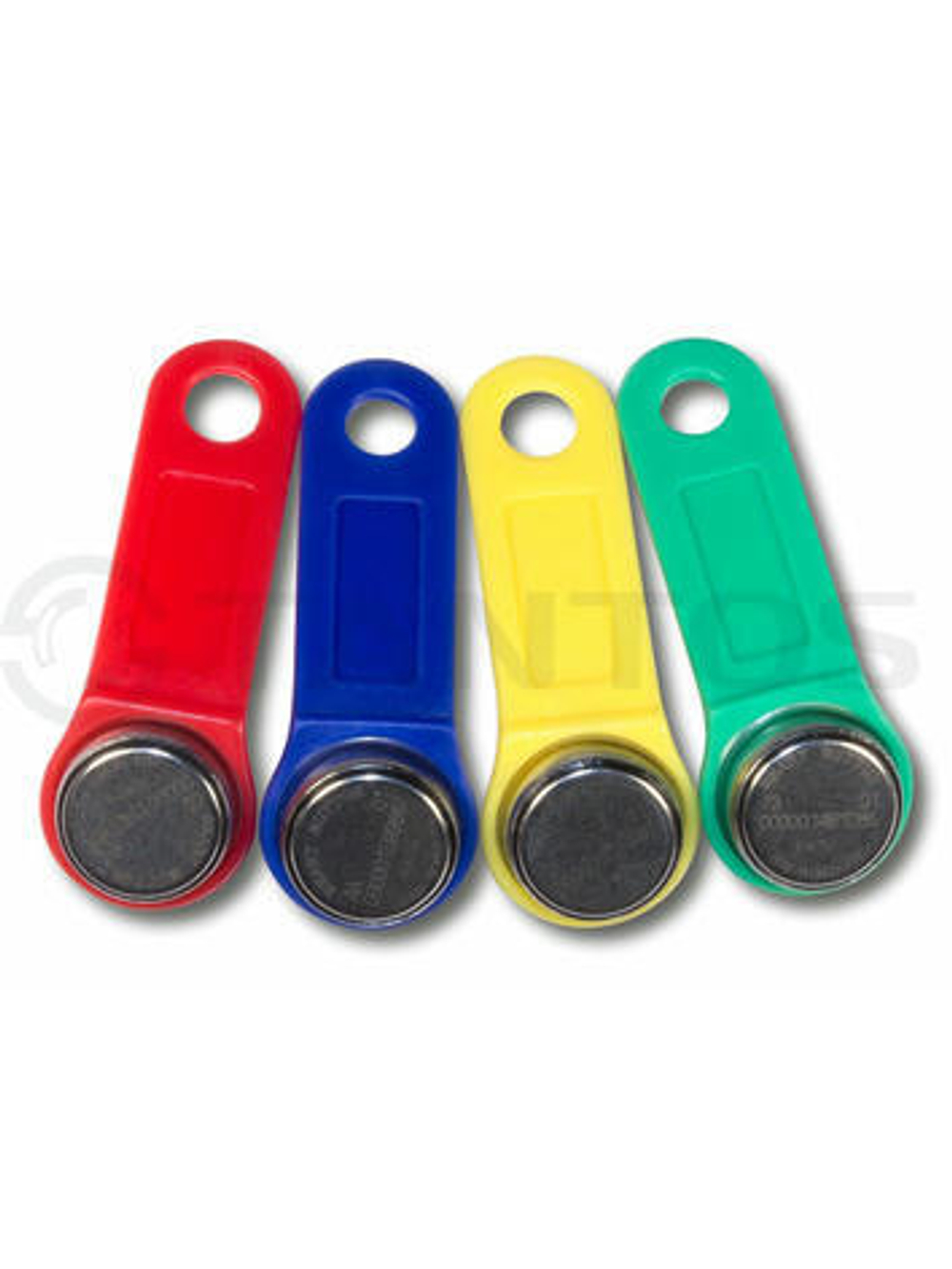 TM1990A iButton TS