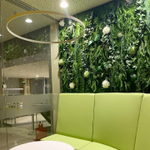 19.12. Озеленение центрального офиса "Центр-Инвест Банка" г.Ростов