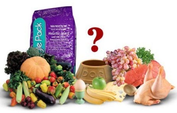 Сухой корм или натуральная пища, чем кормить своего питомца? Сухой корм или натуральная пища, чем кормить своего питомца?