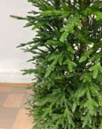 Ель искусственная «Аннабель» (Литая хвоя) от 1,5 м до 3 м