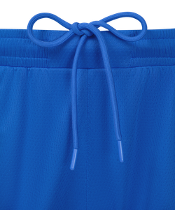 Шорты баскетбольные JÖGEL DIVISION PerFormDRY Shorts Z2, синий