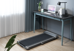 KingSmith WalkingPad R1