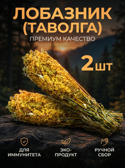 Мята длиннолистная пучок, 2 шт.
