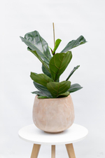 Кашпо Jaze Planter 29/25