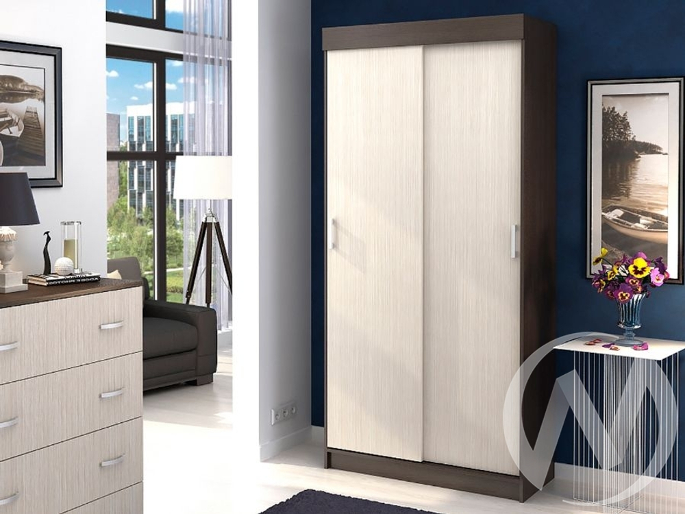 Шкаф-купе Евро