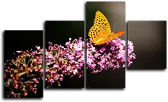 Модульная картина "Бабочка"