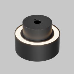 Потолочный светильник Maytoni   C092CL-GX53-B