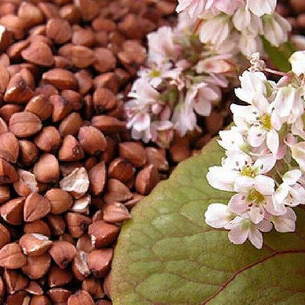 Гречиха 0,5кг