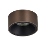 DL18030R1DBronzeB F