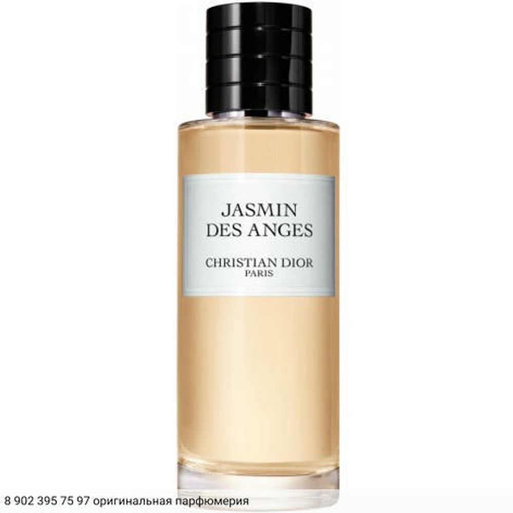 Jasmin Des Anges