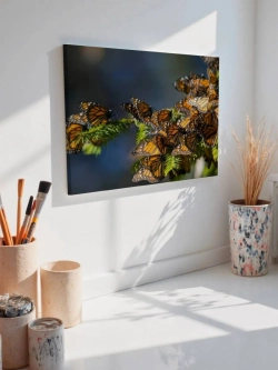 Картина на стену 40 X 50 Бабочки