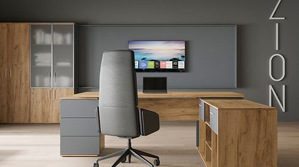 Новинка. Кабинет Зион лайт (Zion Light)