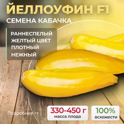 ЙЕЛЛОУФИН F1 семена кабачка (Enza Zaden | Alexagro)