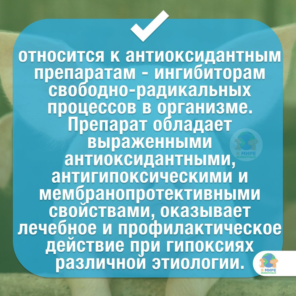 Эмидонол 5%, препарат для лечения сердечно-сосудистой системы кошкам, собакам, хорькам, кроликам, свиньям 100 мл. Эмидонол.