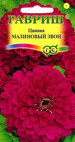 Циния Монарх Гавриш