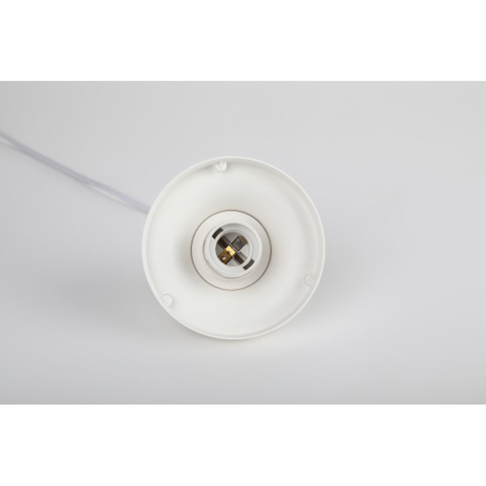 Cветильник потолочный ЭРА НСБ 01-60-251 шар опаловый подвесной на шнуре IP40 Е27 max 60 Вт d250mm | Подвесные светильники