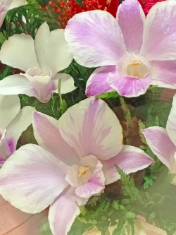 натуральные цветы в стекле, вакуум